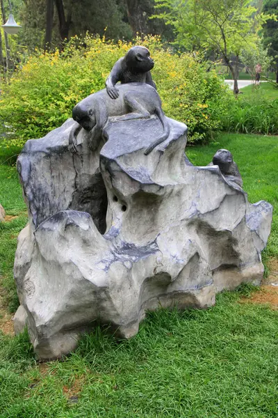 maymun taşı oyması, fotoğrafa yakın çekim