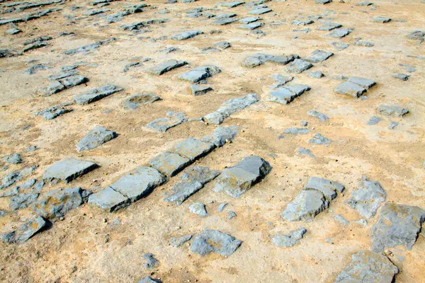 Yerdeki kırık tuğla 