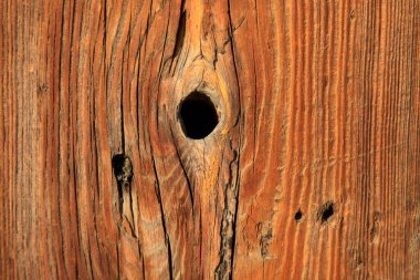 Sarsıntılı tahıl, fotoğrafa yakın çekim.