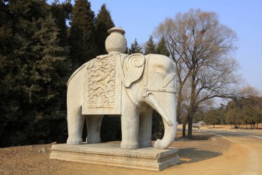 Fil taşı oymacılığı, yakın plan fotoğraf.