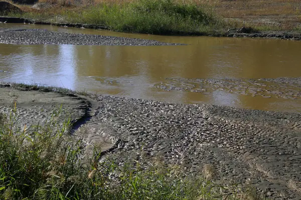 River Sahili, fotoğrafa yakın çekim.