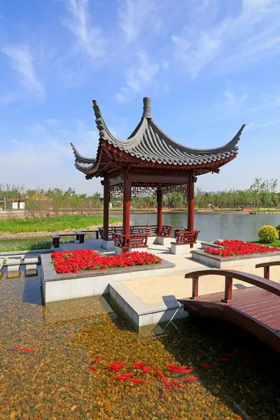 Pavilio 'nun mimari manzarası