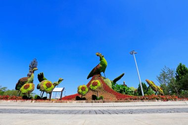 Tangshan - 27 Ağustos - Tavus kuşu ve kırmızı taçlı turna heykeli yeşil bitkiler, 27 Ağustos 2016, Tangshan şehri, Çin