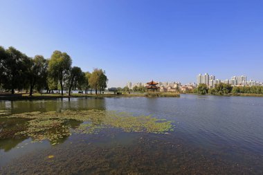 Parkların mimari manzarası