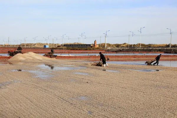 Luannan County - 28 Ekim 2016: işçiler tuz tarlasında işçilik yaptılar, Luannan, Hebei, Chin