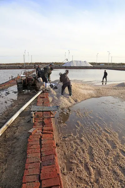 Luannan County - 28 Ekim 2016: işçiler tuz tarlasında işçilik yaptılar, Luannan, Hebei, Chin
