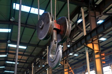 Turna kancası, fotoğrafa yaklaş.