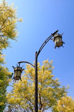 Mavi gökyüzünün altında sokak ışıkları ve ağaçlar