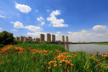 Şehir Parklarının Doğal Manzarası