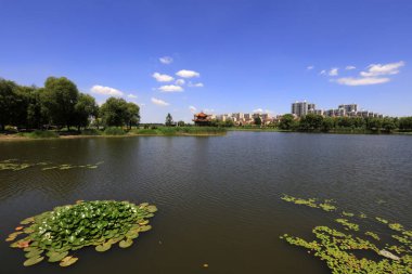 Waterfront City 'nin yaz manzarası, Tangshan City, Çin