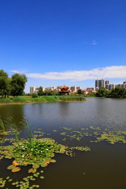 Waterfront City 'nin yaz manzarası, Tangshan City, Çin