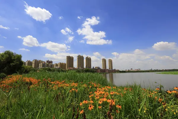 Şehir Parklarının Doğal Manzarası