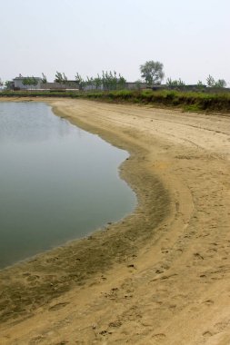 Gölün kenarı, fotoğrafa yakın çekim.