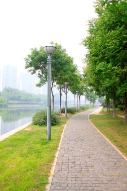 Şehir parkında yol