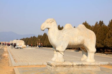Çin antik deve heykelleri