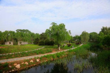 Ağaçlar ve göller, fotoğraflara yakın çekim.