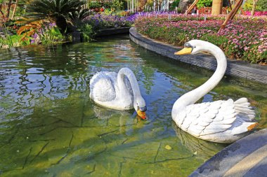 Parkta kuğu heykelleri