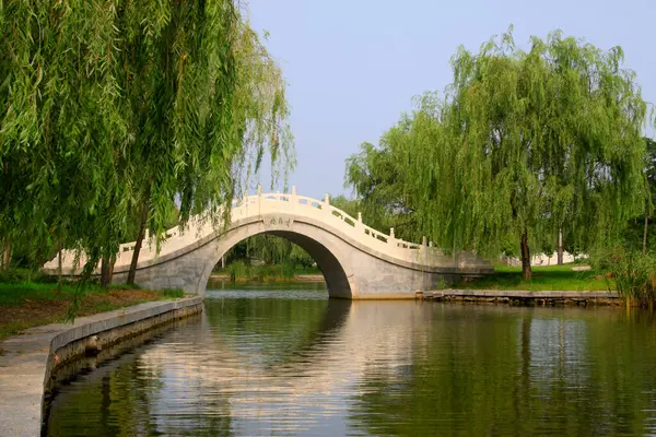 Orman parkı manzarası, fotoğrafa yakın çekim.