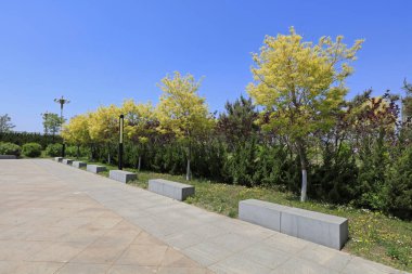 Park Architectural Landscape, closeup of photo