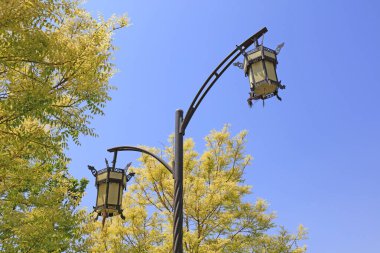 Mavi gökyüzünün altında sokak ışıkları ve ağaçlar