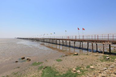 Deniz kenarındaki ahşap trestle