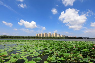 Liman Kenti Mimari Sahnesi, Luannan County, Hebei Eyaleti, Çin