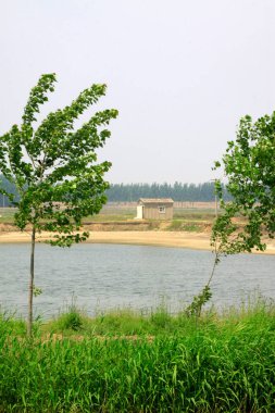 Balık havuzunun yanında yeşil bitkiler, fotoğrafın yakınında.