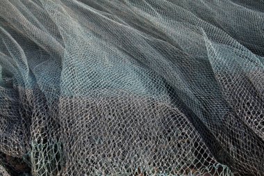 Koyu ağlar, fotoğraflara yakın çekim