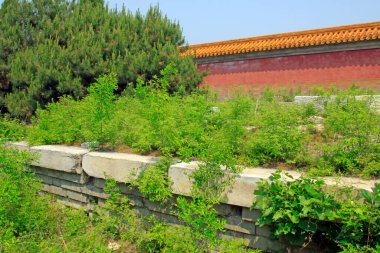 Sarı kaplamalı fayans duvarlar ve matris, fotoğrafa yakın çekim