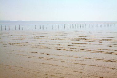 Gel-git dalgaları, fotoğrafa yakın çekim.