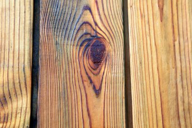 Tahta, fotoğrafa yaklaş