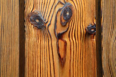 Ahşap doku arka gruplandırma, fotoğrafa yakın çekim