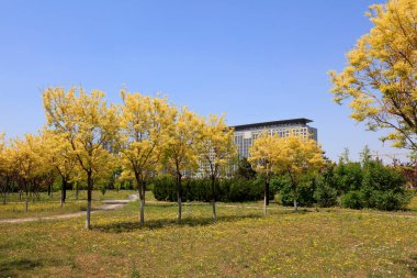 Park Tesisleri ve Uzak Binalar