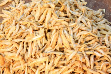 Kurutulmuş küçük balıklara yakın durun. 