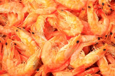 Pişmiş karides, yakın plan fotoğraf.