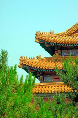 Sarı kaplama kiremit çatı, fotoğrafa yakın çekim.