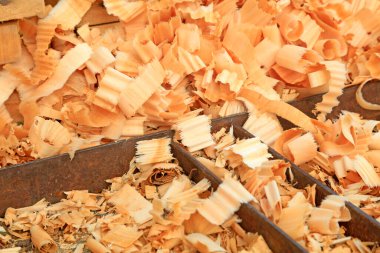 Ahşap talaşı yığınları