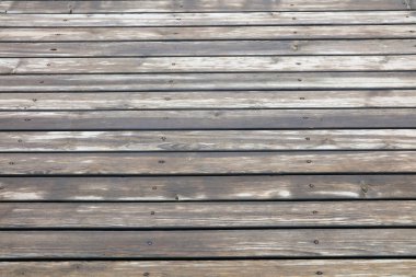 Islak ahşap doku, fotoğrafın yakın çekimi.