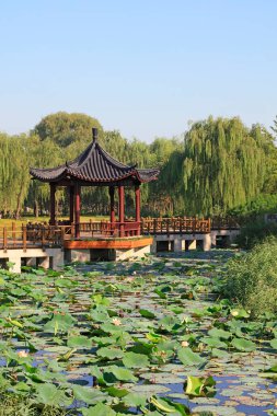 Çin mimari tarzı pavyon