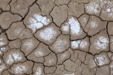 Kırık tuzlu alkali arazisi, fotoğrafa yakın çekim.