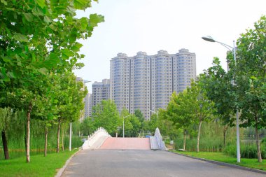 köprüler inşa etmek ve yeşillendirmek