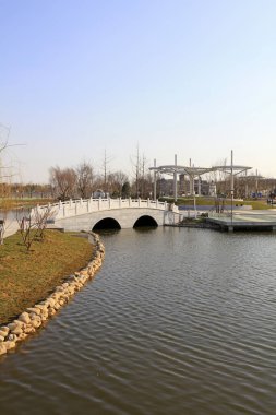 Park alanı manzarası, fotoğrafa yakın çekim.