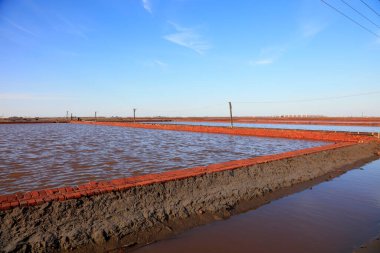 Tuz havuzu kokusu, fotoğrafa yakın çekim.