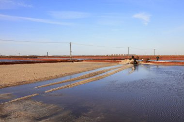 Luannan County - 28 Ekim 2016: işçiler tuz tarlasında işçilik yaptılar, Luannan, Hebei, Chin