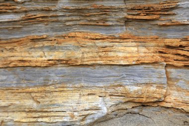 Anka kuşunun doğal dokusu