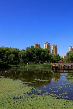 Waterfront City 'nin yaz manzarası, Tangshan City, Çin