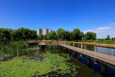 Park köprüsü ve göl suyu