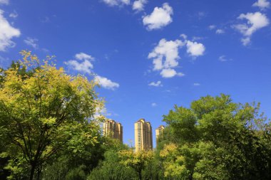 Mavi gökyüzünün altındaki binalar ve ağaçlar