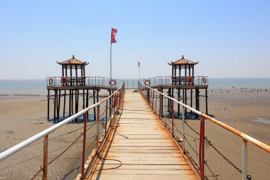 Çin Geleneksel Pavyonu 'nun Mimari Arazisi