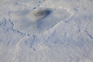 Kış manzarası, kar dokusu, fotoğrafın yakın çekimi.